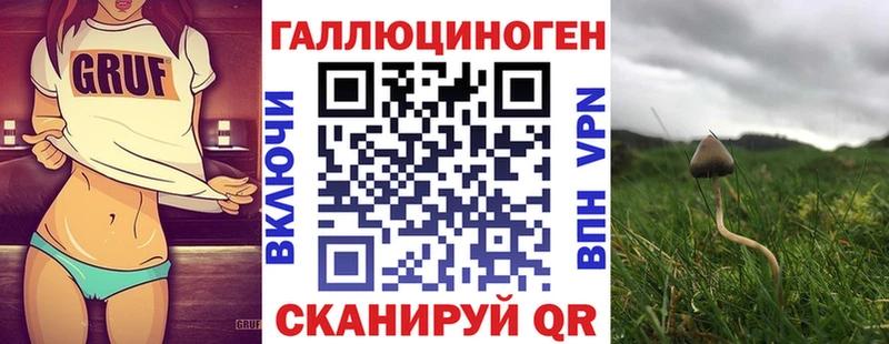 Псилоцибиновые грибы Psilocybine cubensis  закладка  Красноуральск 